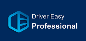 Driver Easy Pro Download